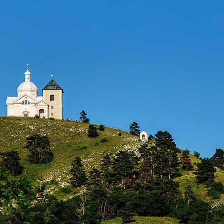 Penzion Terasa Cibulka Mikulov Buitenkant foto